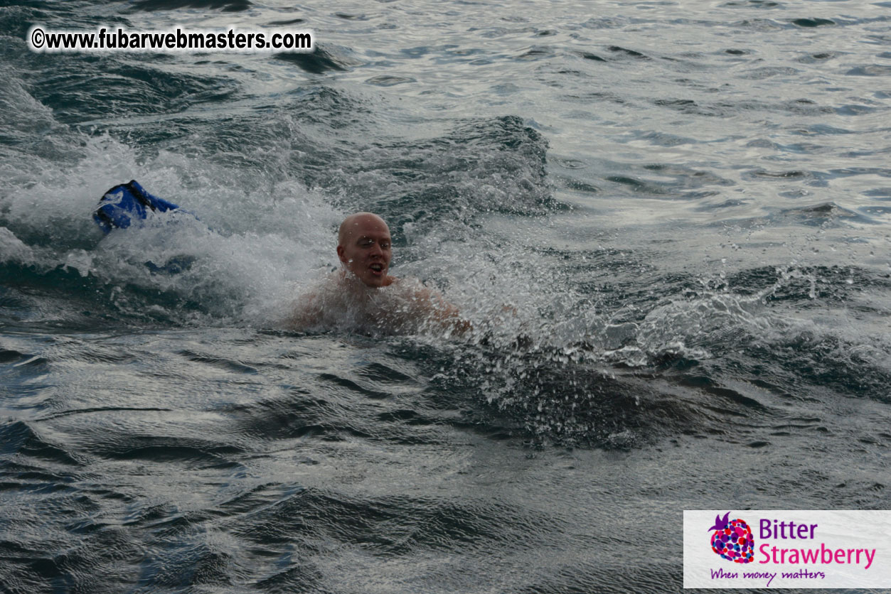 WireCard Dolphin Swim