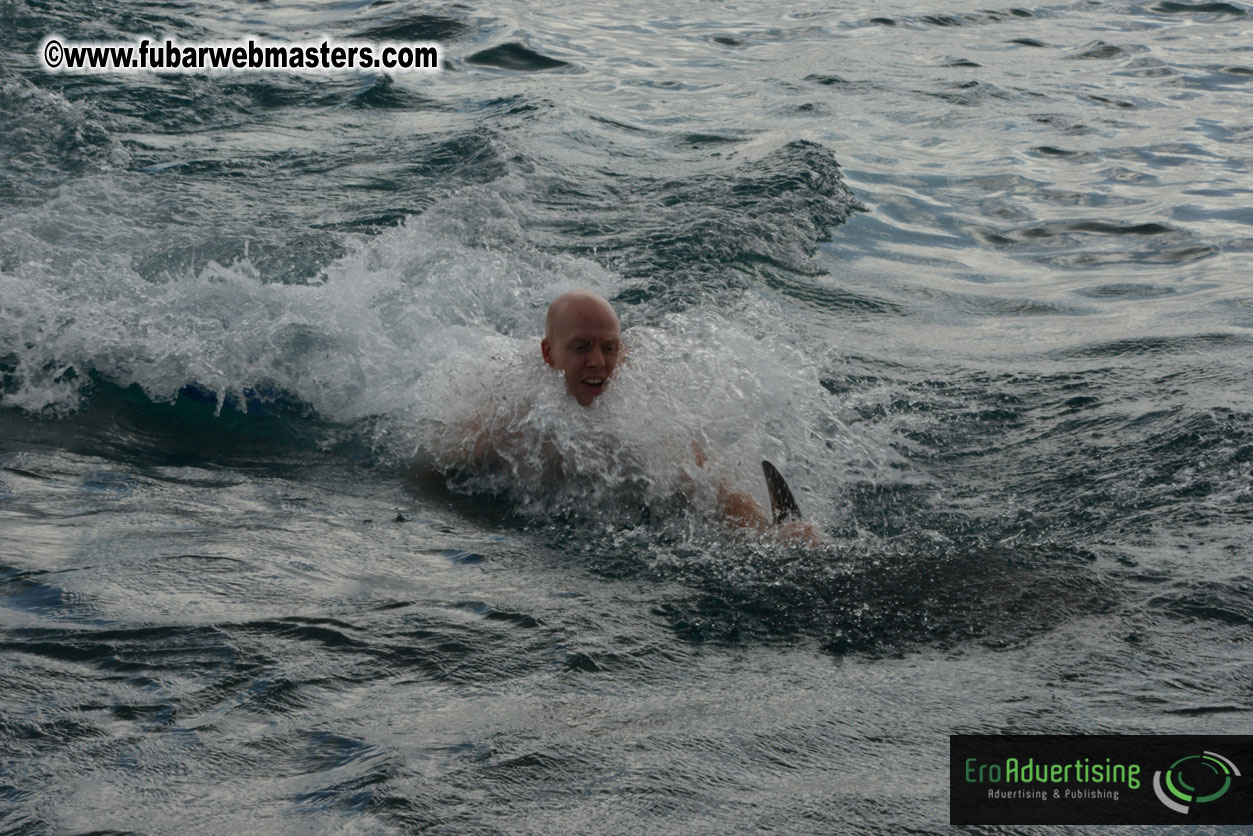 WireCard Dolphin Swim