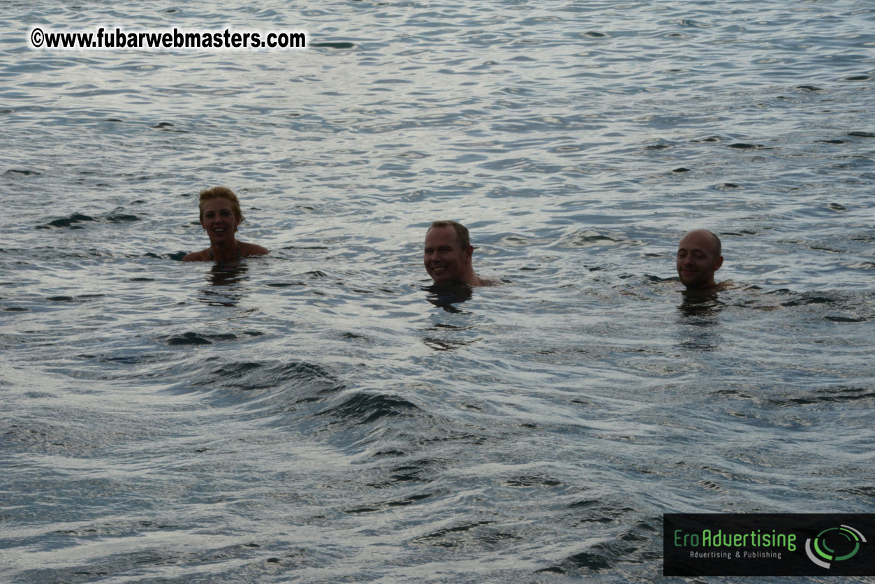 WireCard Dolphin Swim