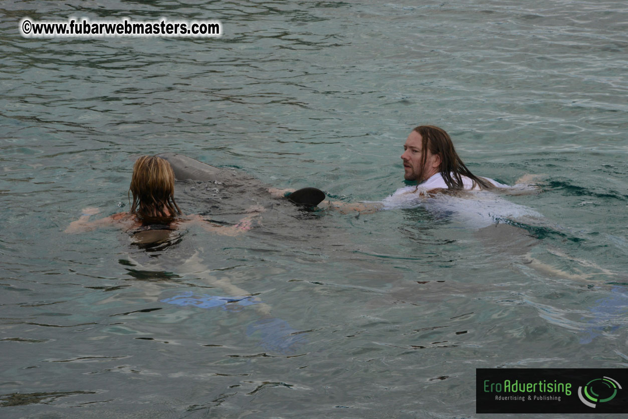 WireCard Dolphin Swim