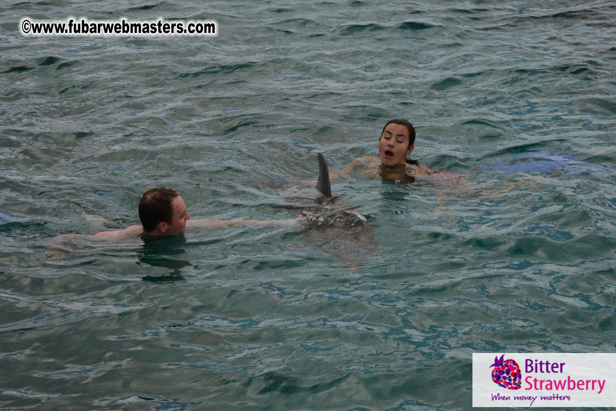 WireCard Dolphin Swim