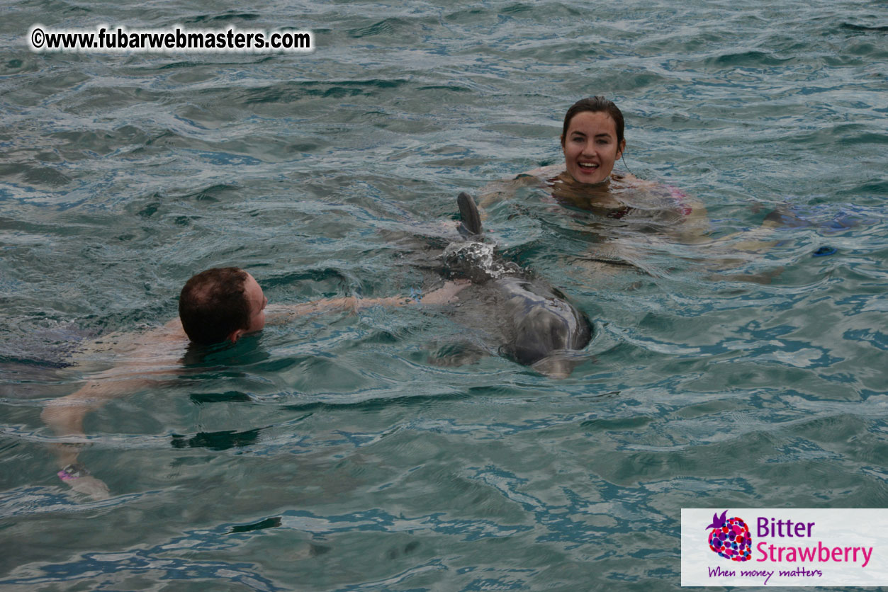 WireCard Dolphin Swim