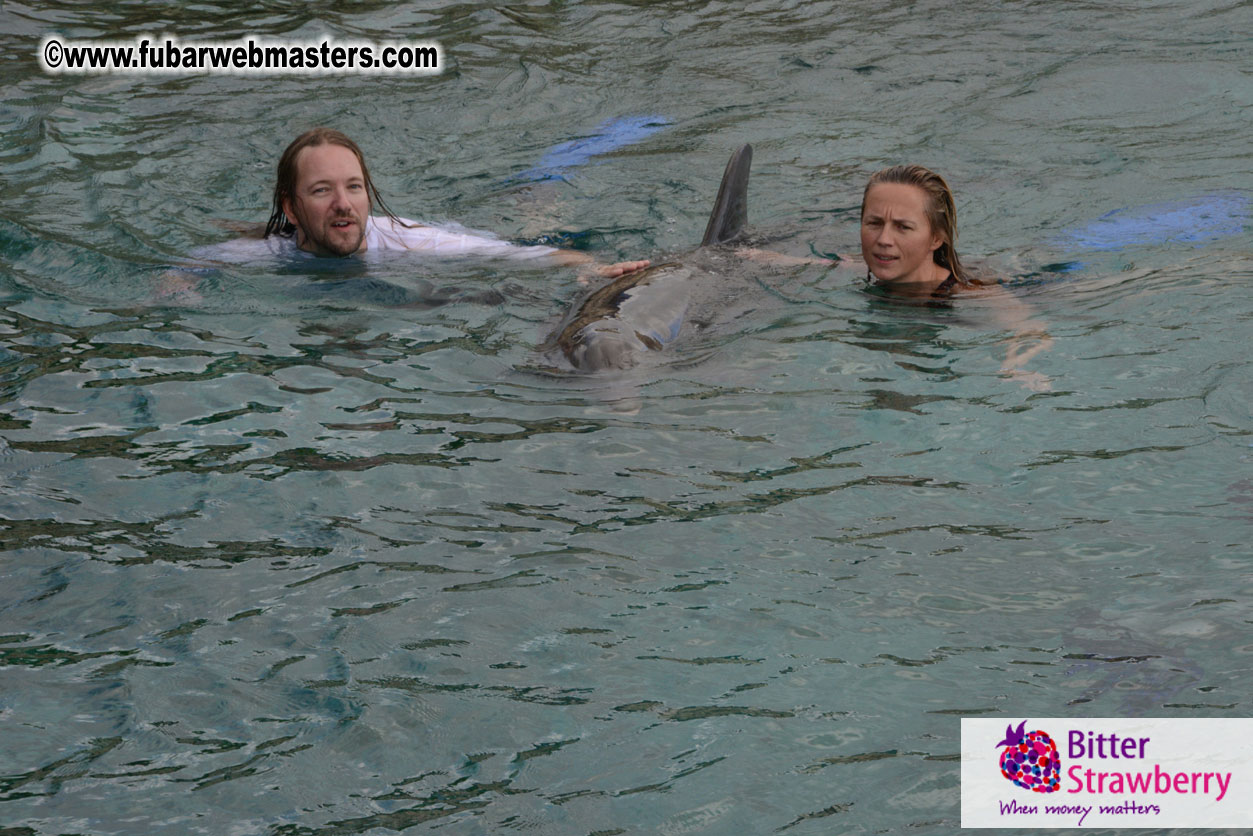 WireCard Dolphin Swim