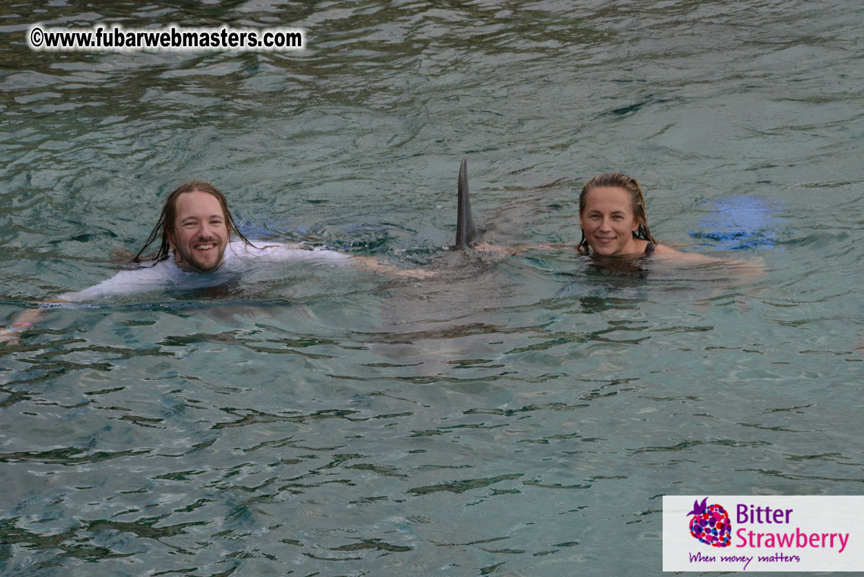 WireCard Dolphin Swim