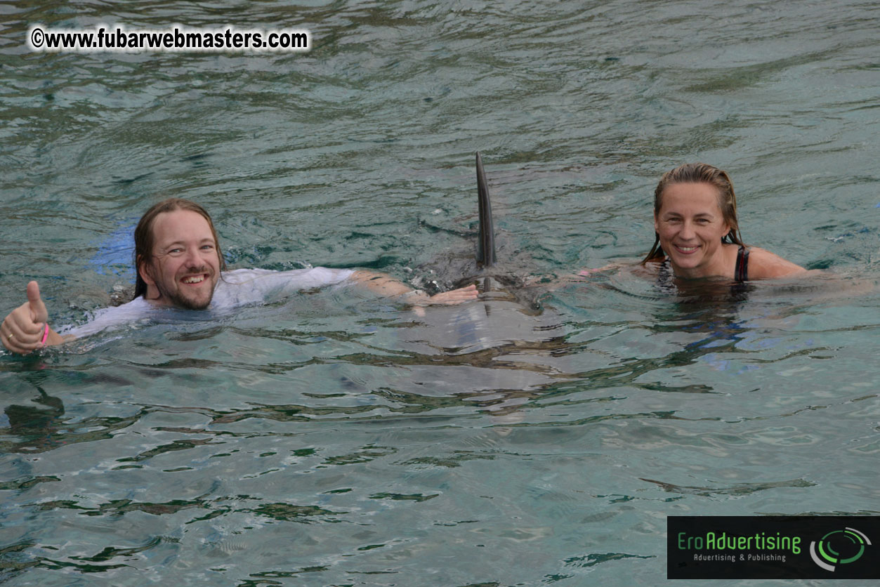 WireCard Dolphin Swim