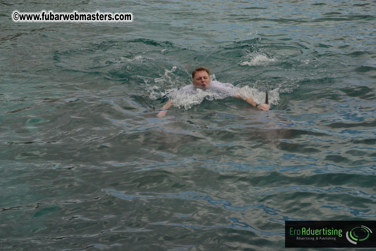 WireCard Dolphin Swim