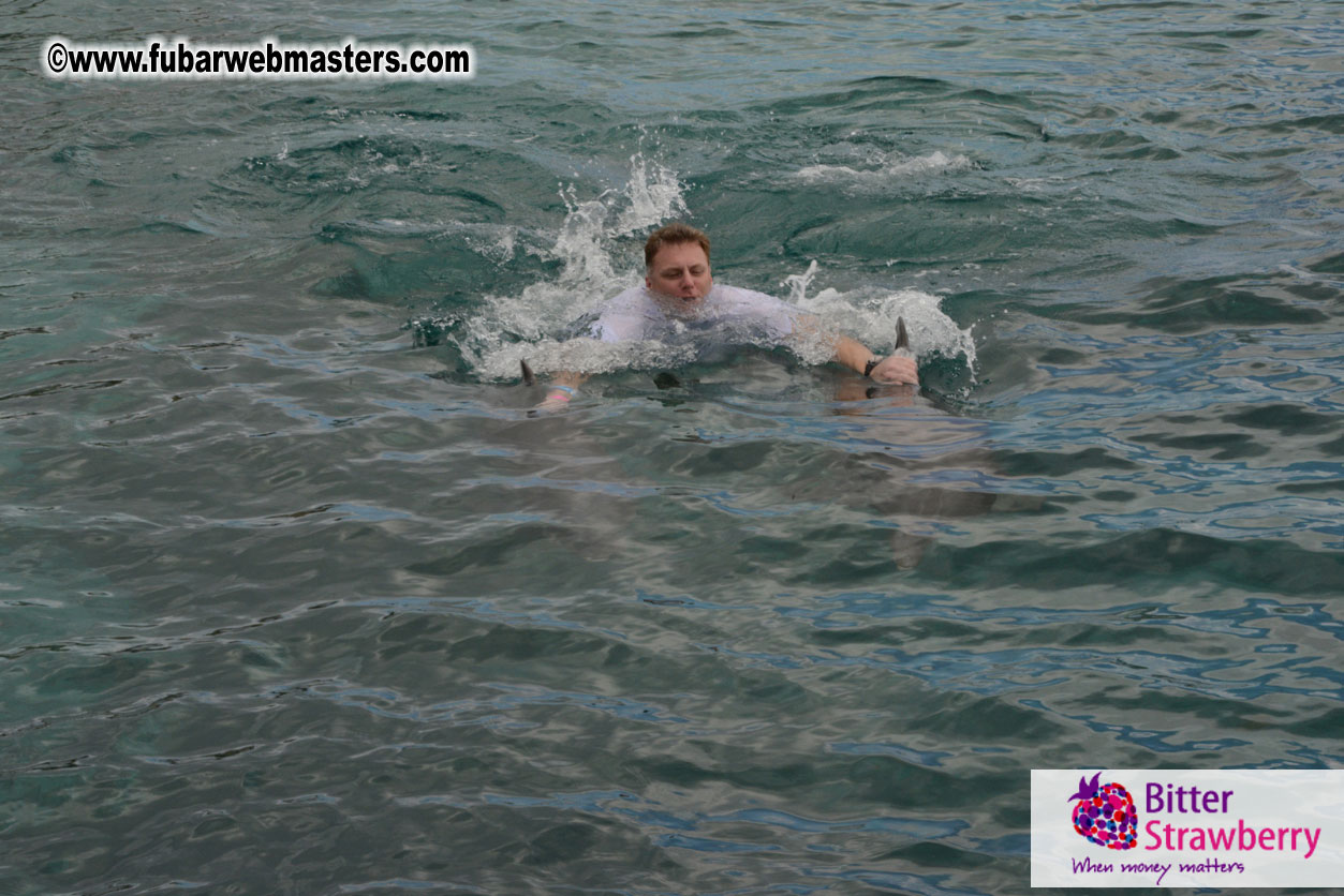 WireCard Dolphin Swim