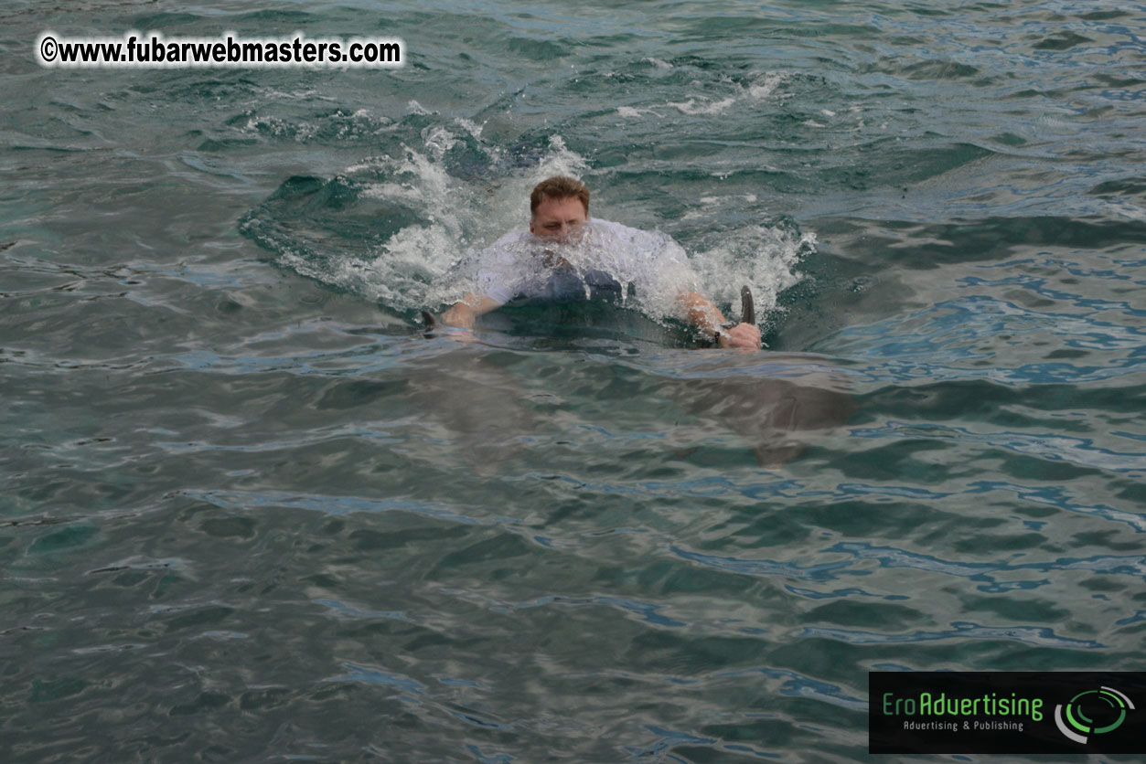 WireCard Dolphin Swim