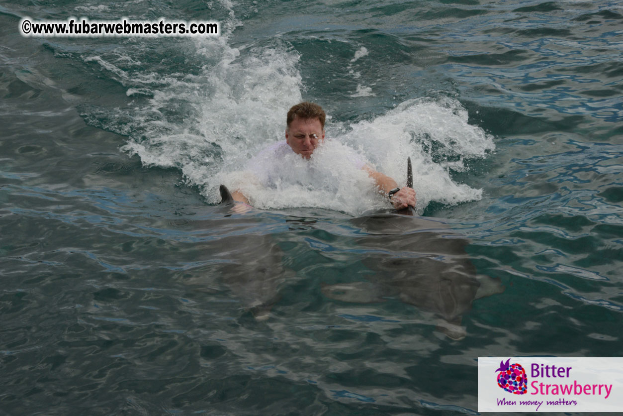 WireCard Dolphin Swim