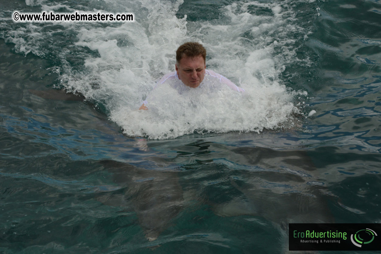 WireCard Dolphin Swim