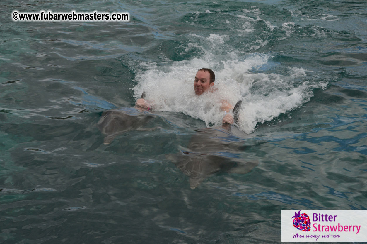 WireCard Dolphin Swim