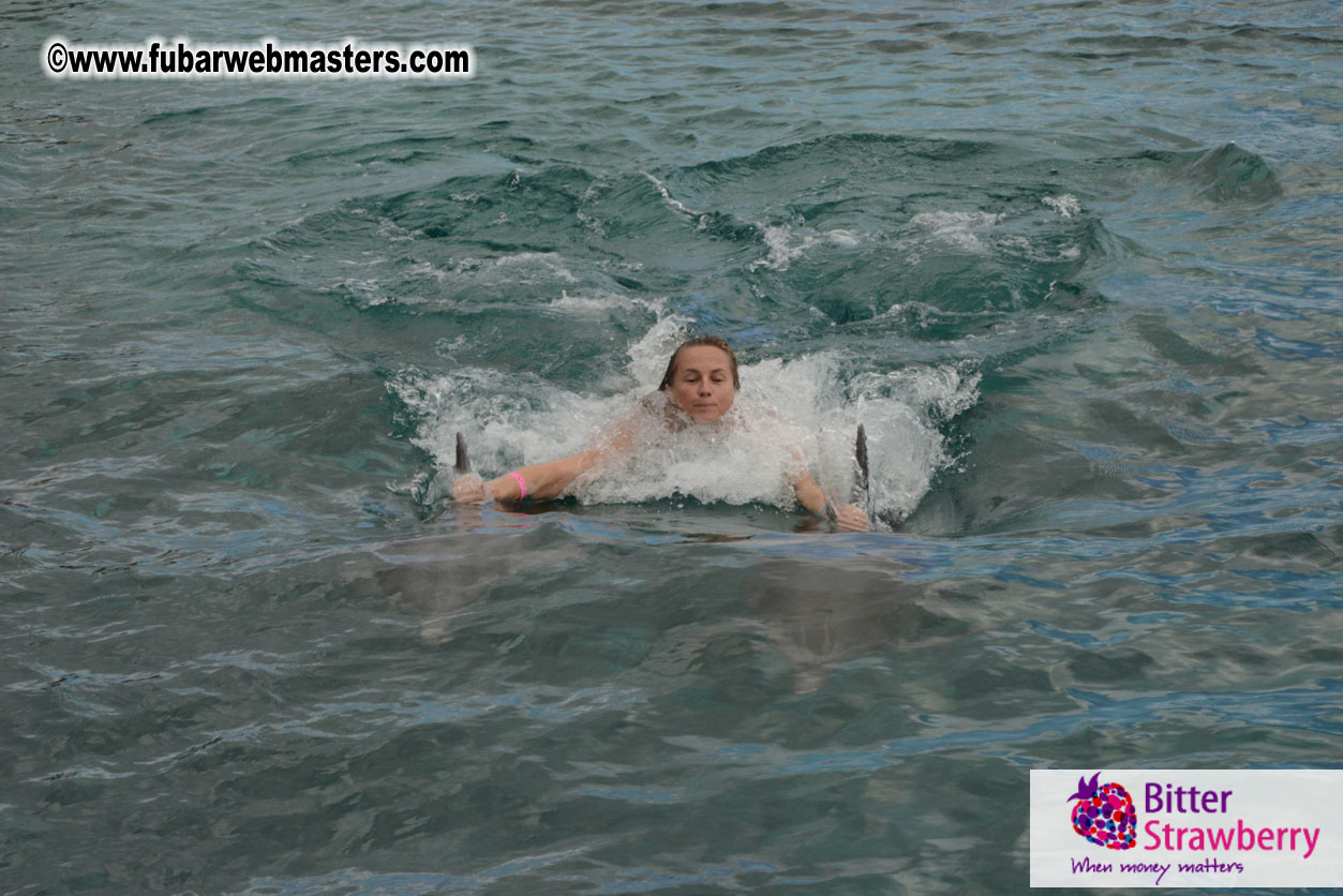 WireCard Dolphin Swim