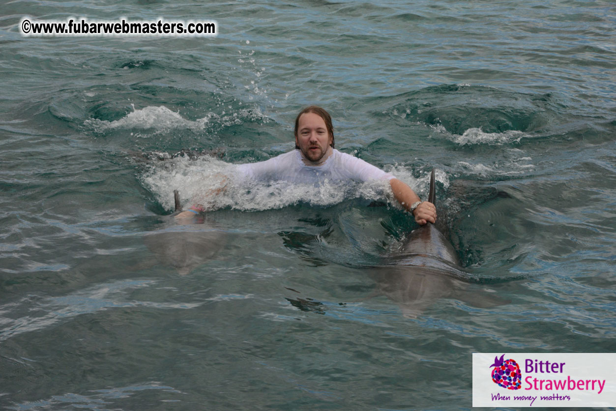 WireCard Dolphin Swim