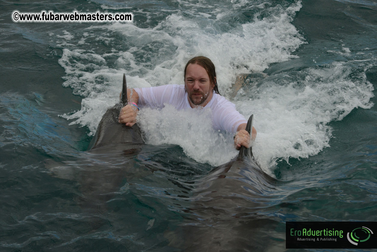 WireCard Dolphin Swim