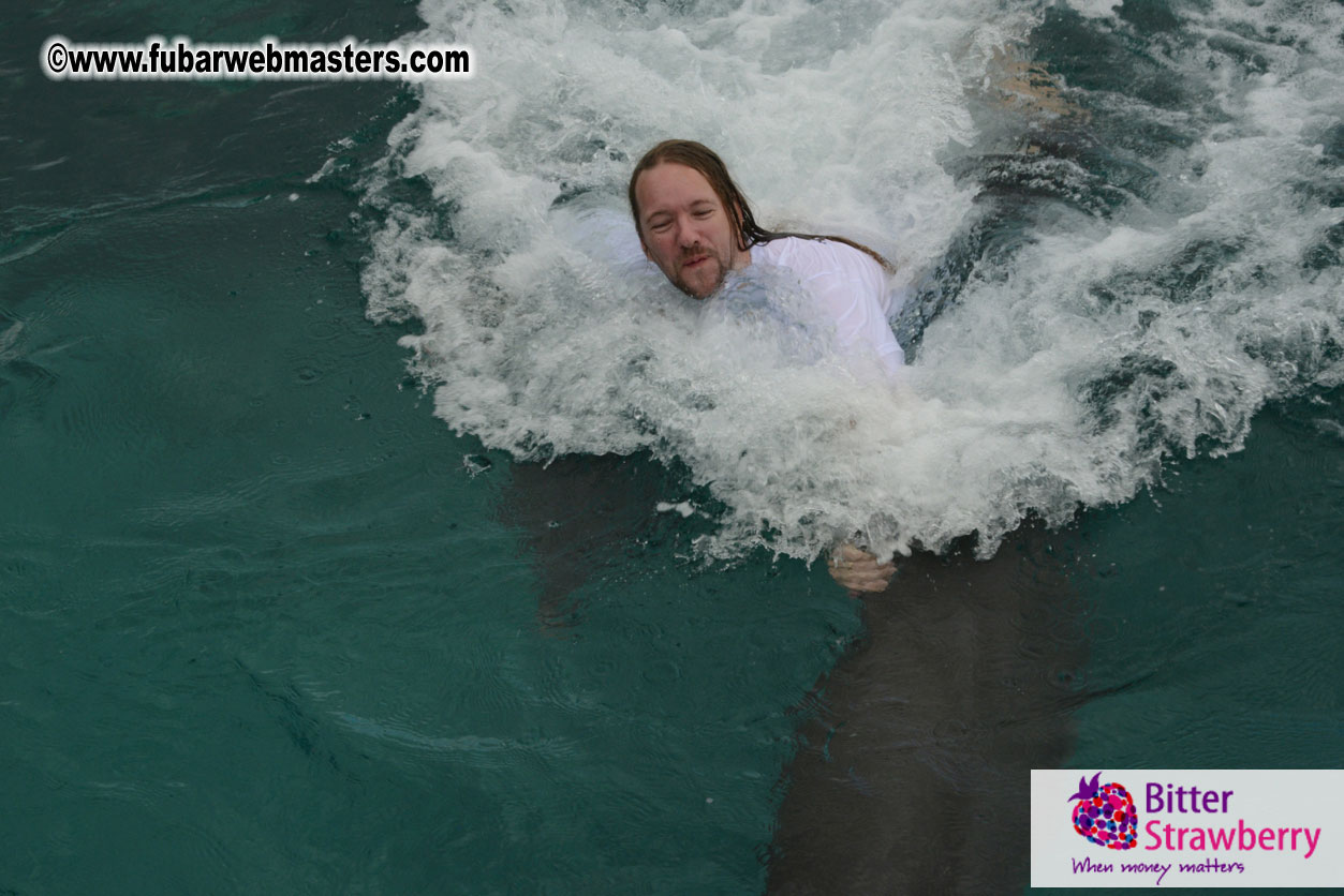 WireCard Dolphin Swim