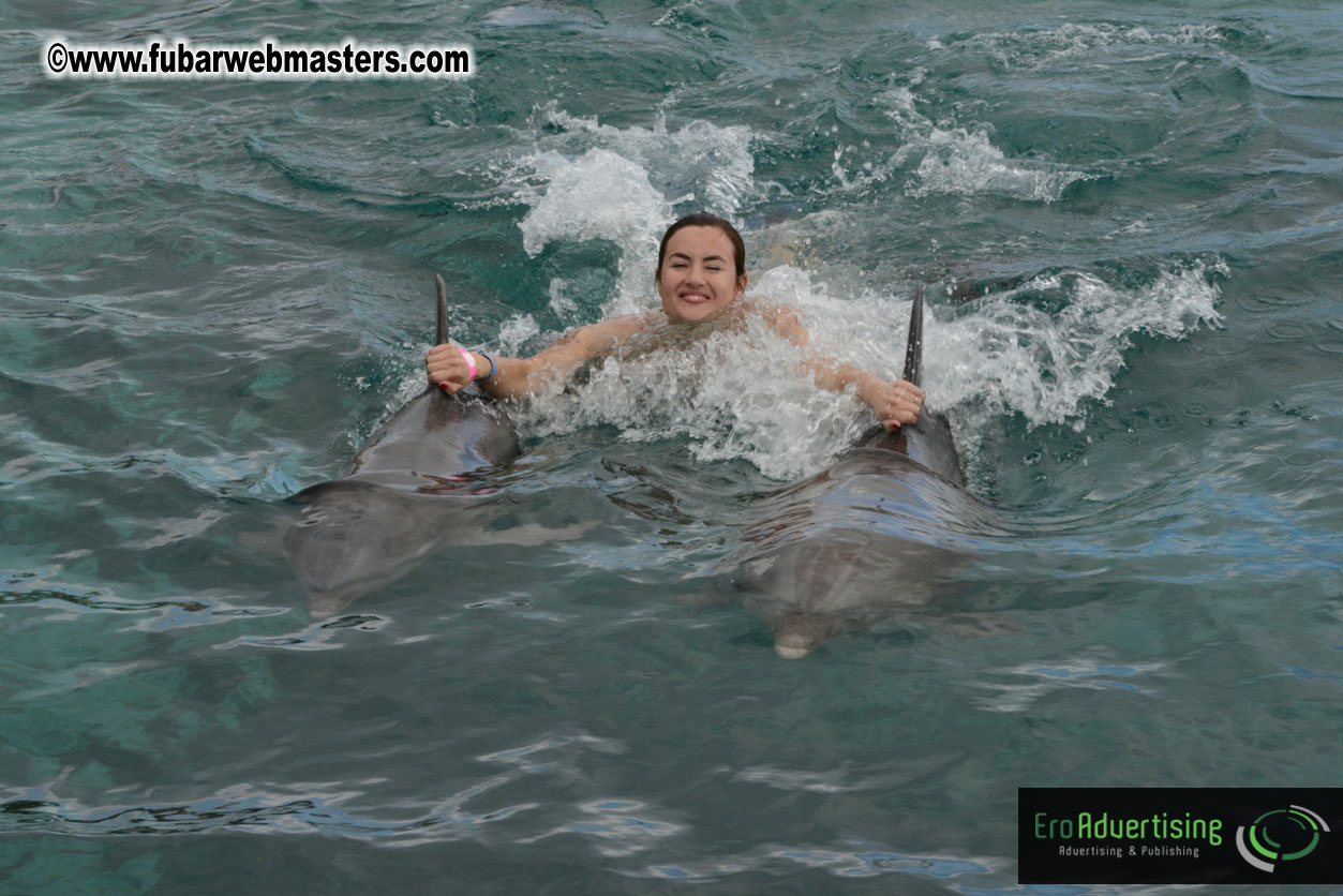 WireCard Dolphin Swim