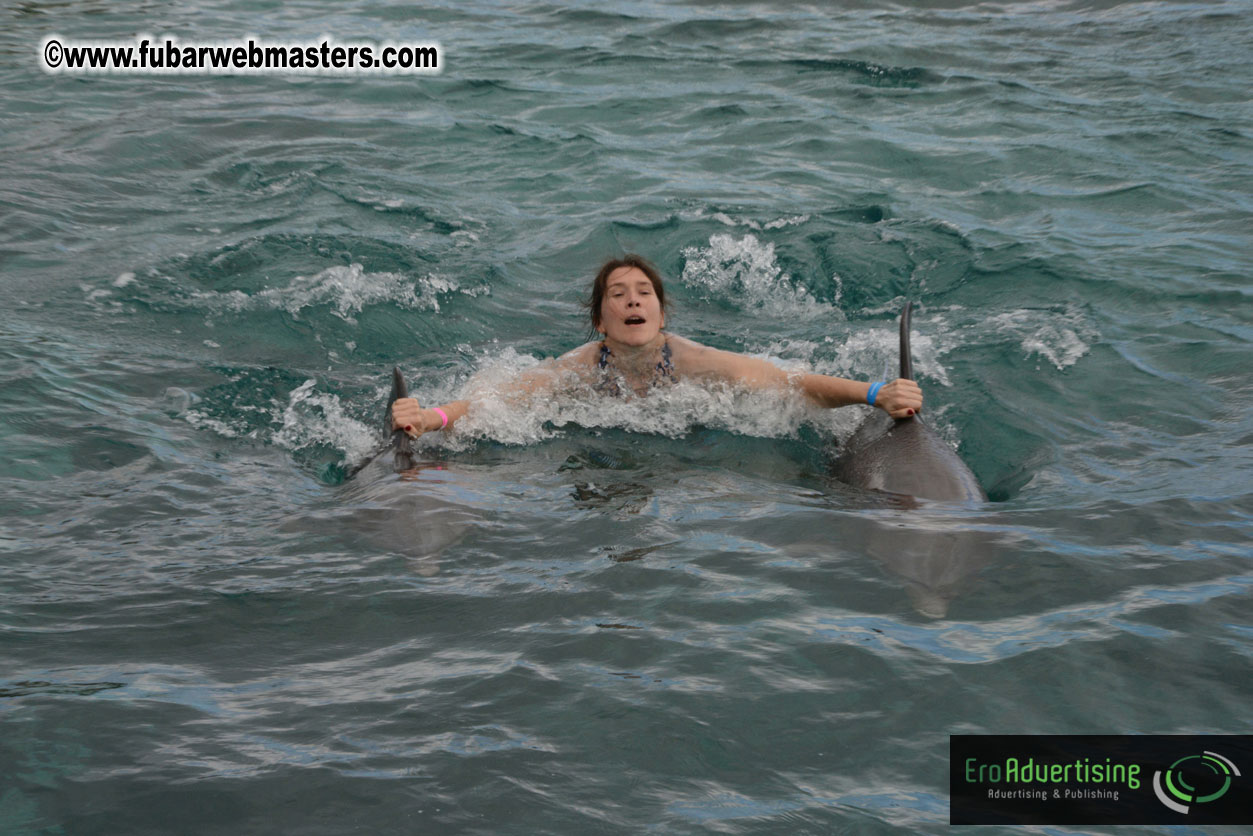 WireCard Dolphin Swim