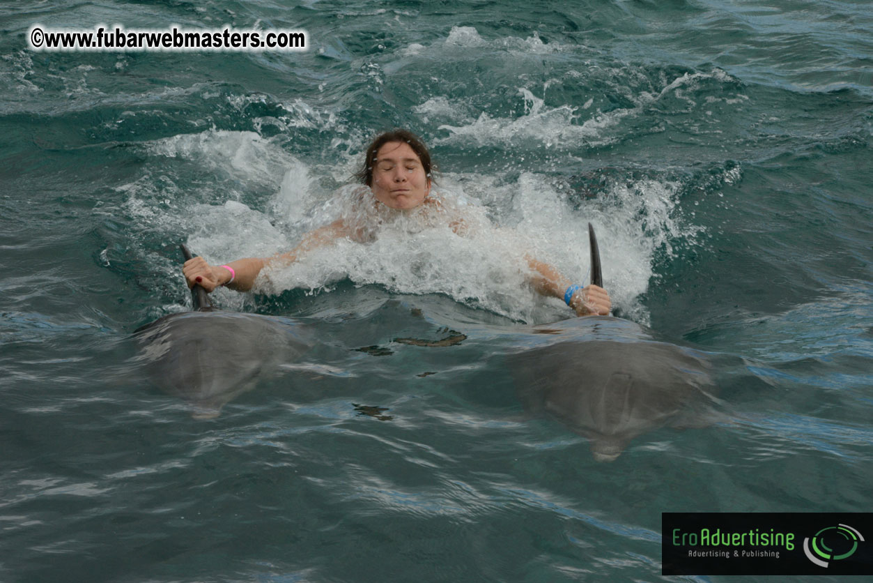 WireCard Dolphin Swim