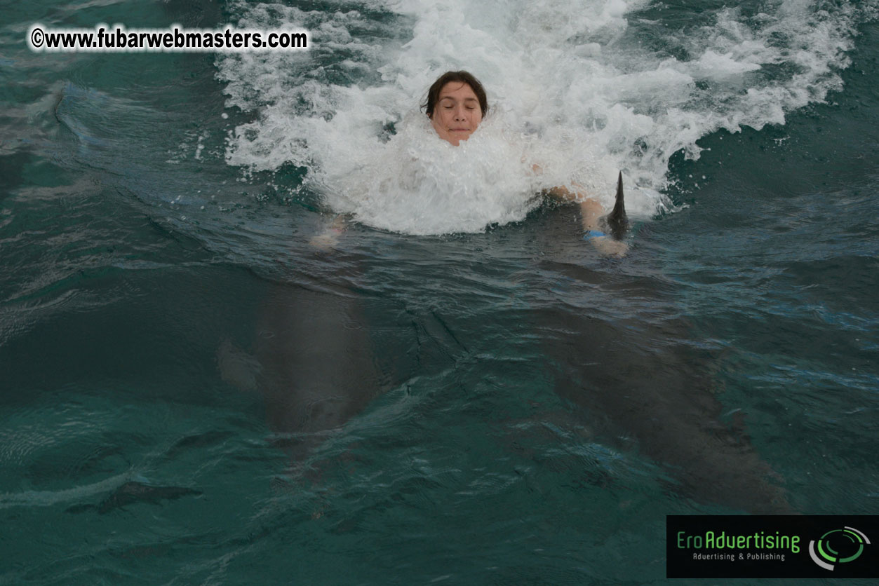 WireCard Dolphin Swim