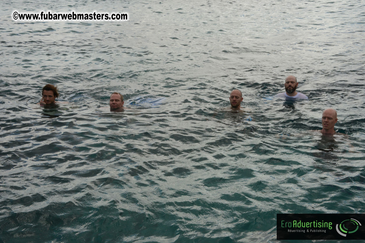 WireCard Dolphin Swim