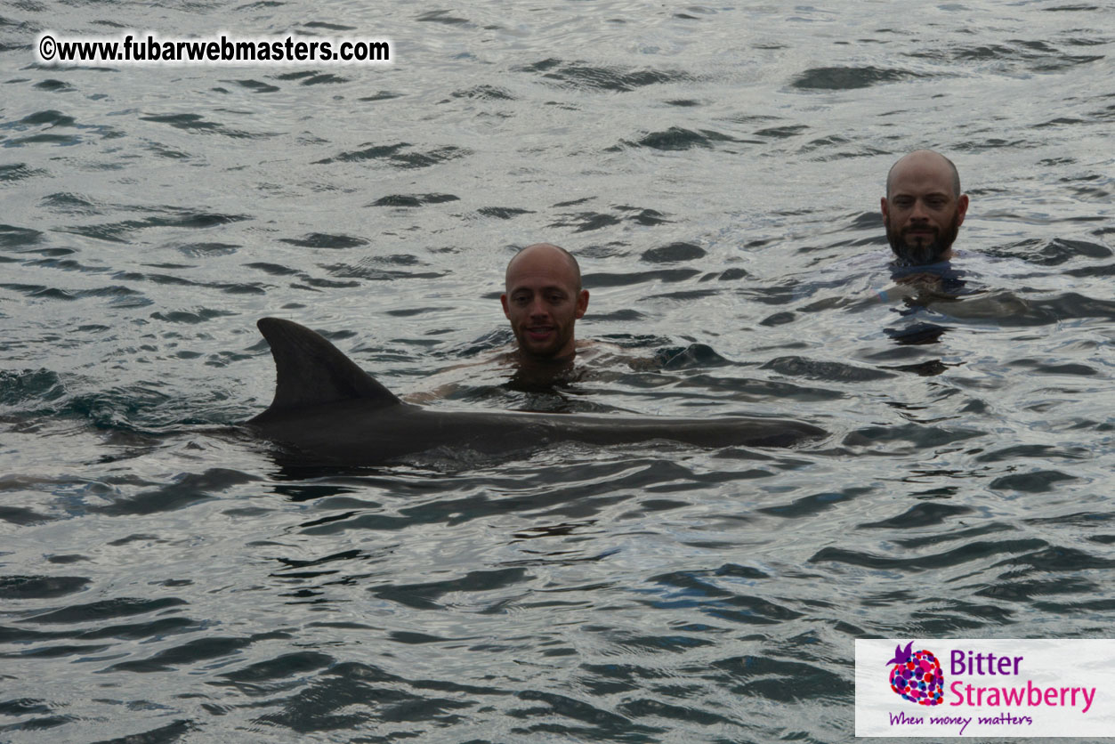 WireCard Dolphin Swim