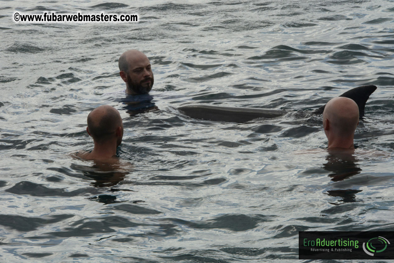 WireCard Dolphin Swim