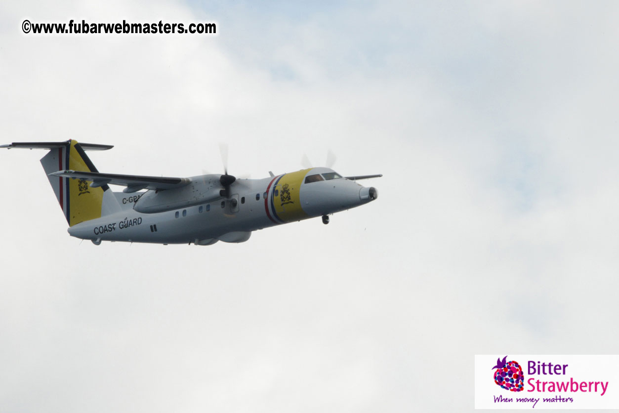 WireCard Dolphin Swim