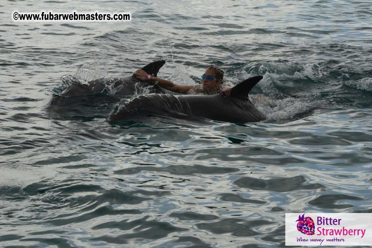 WireCard Dolphin Swim