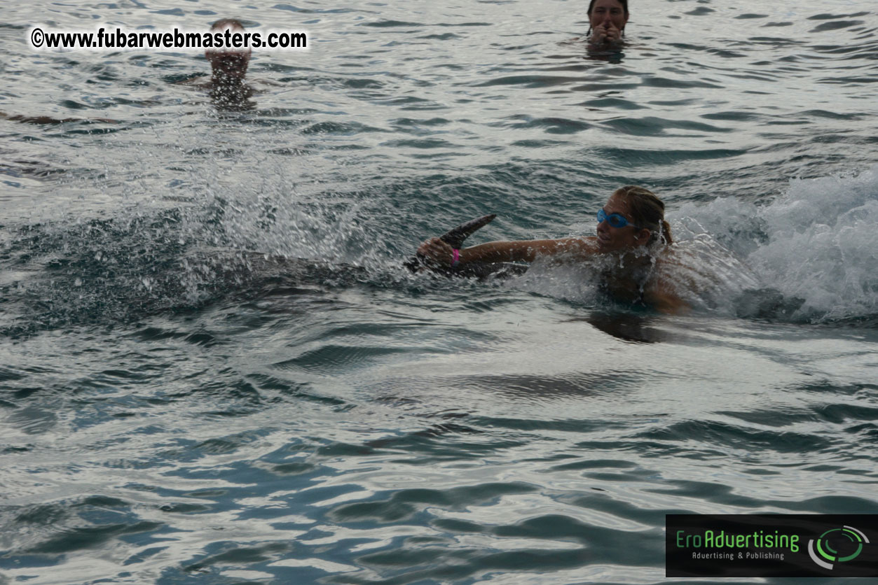 WireCard Dolphin Swim