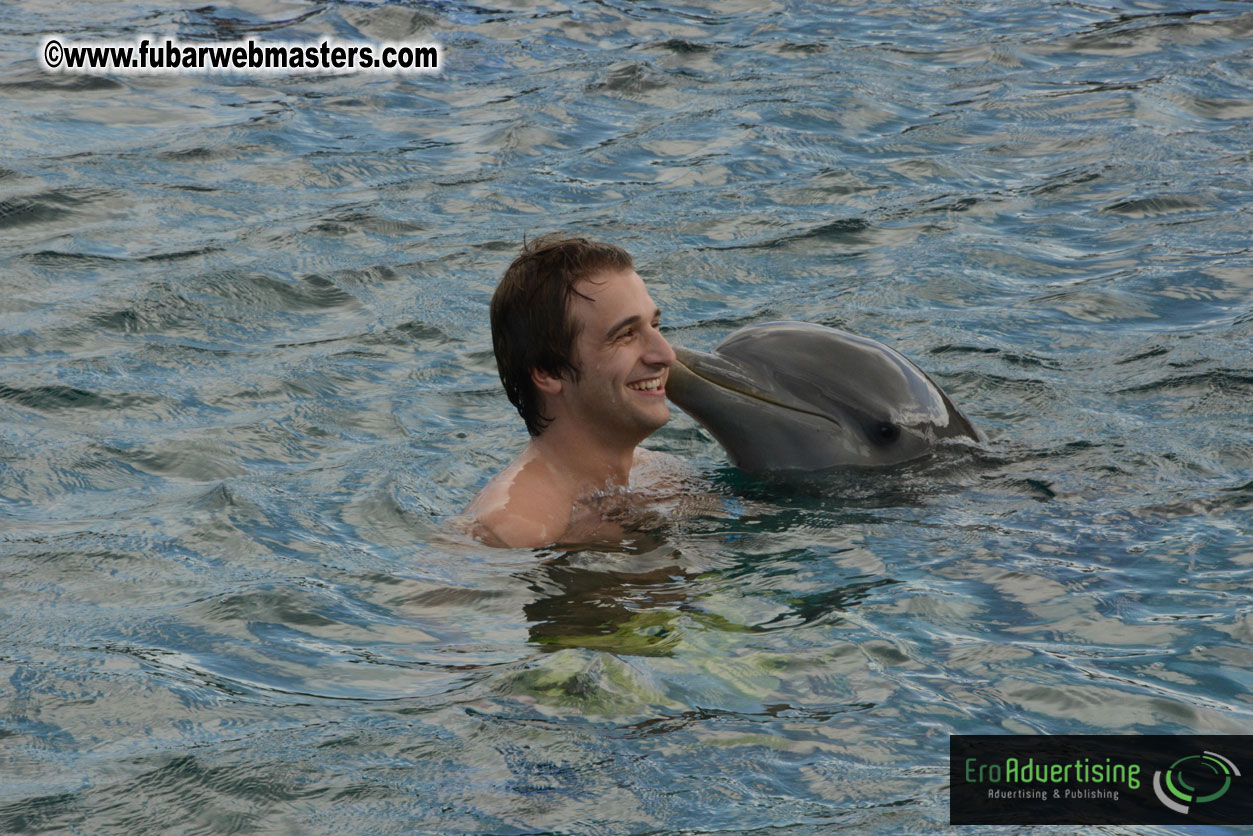 WireCard Dolphin Swim