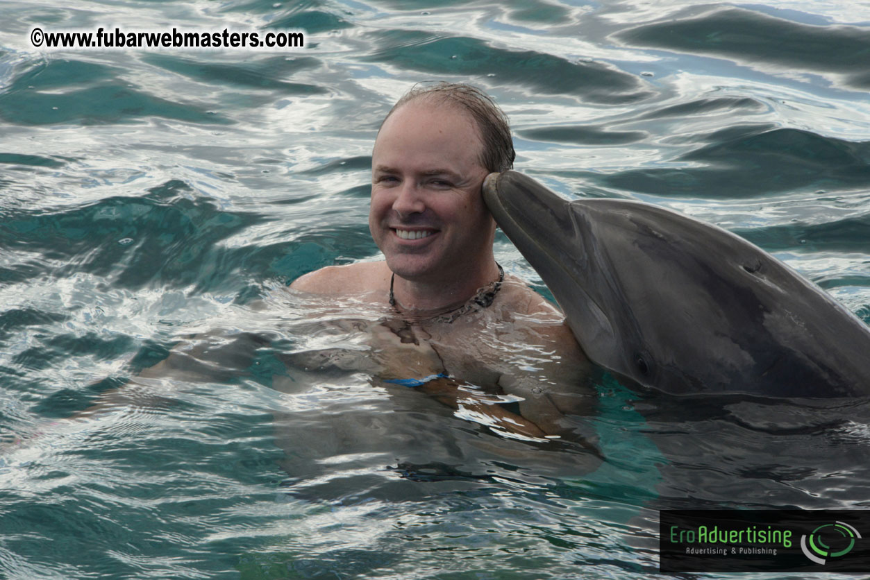WireCard Dolphin Swim