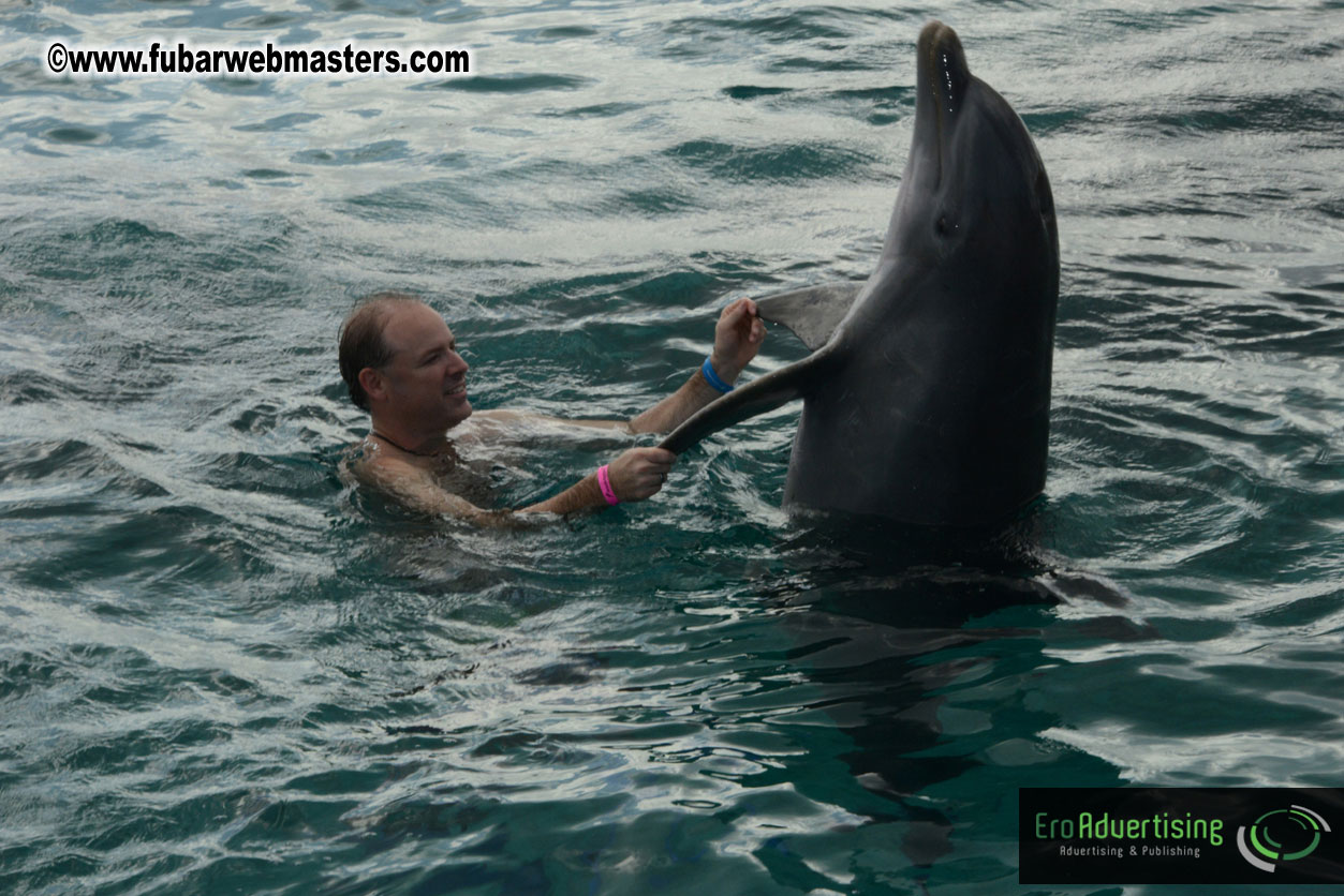 WireCard Dolphin Swim