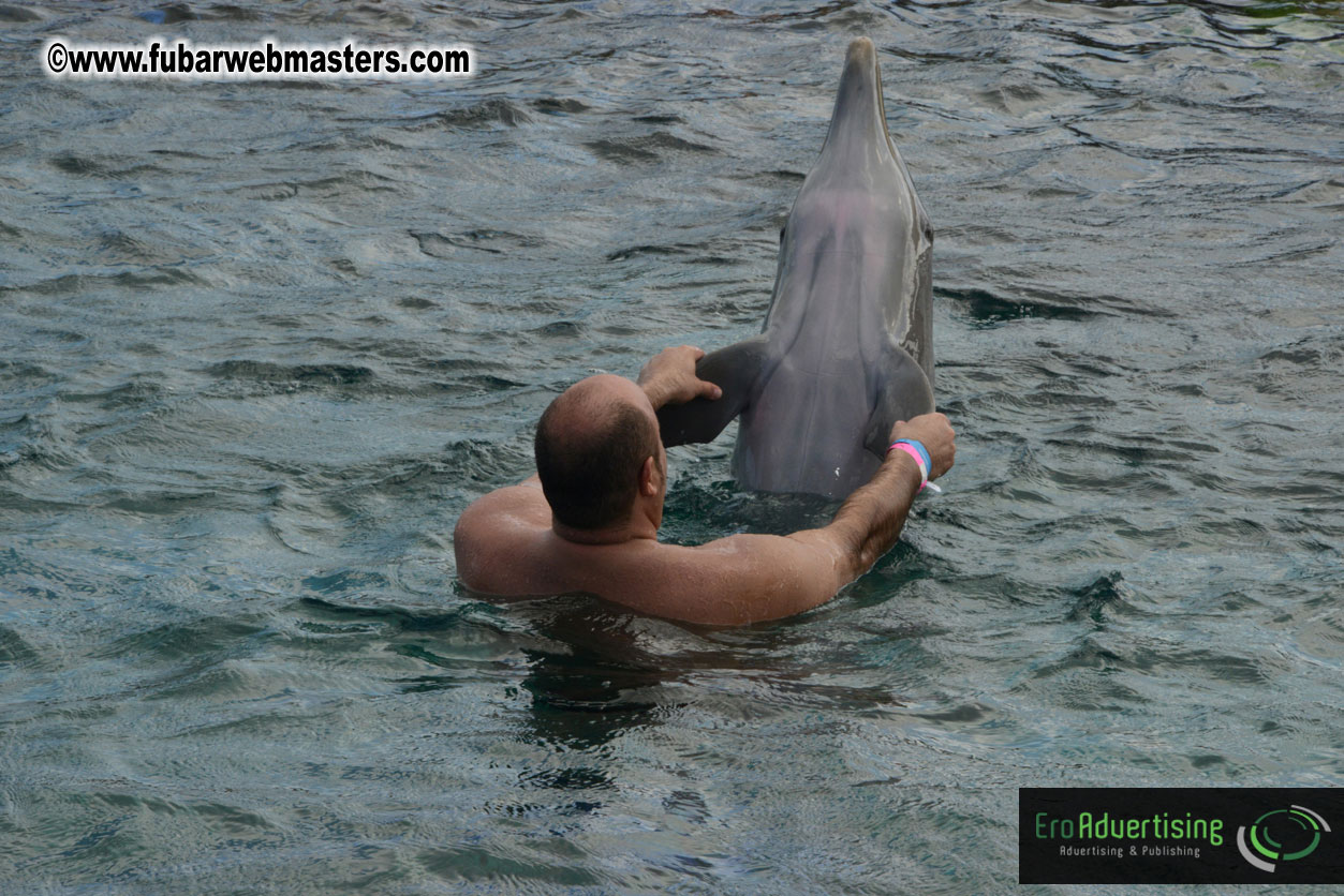 WireCard Dolphin Swim