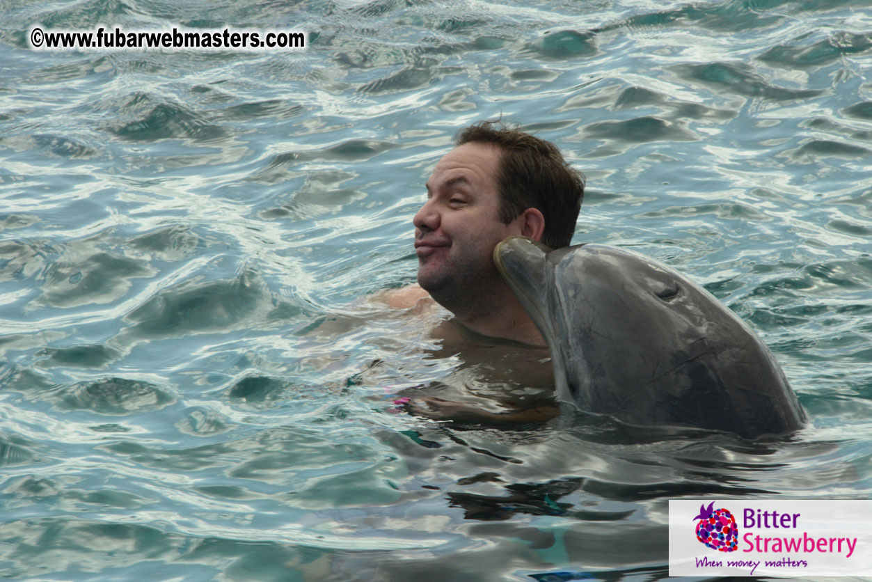 WireCard Dolphin Swim