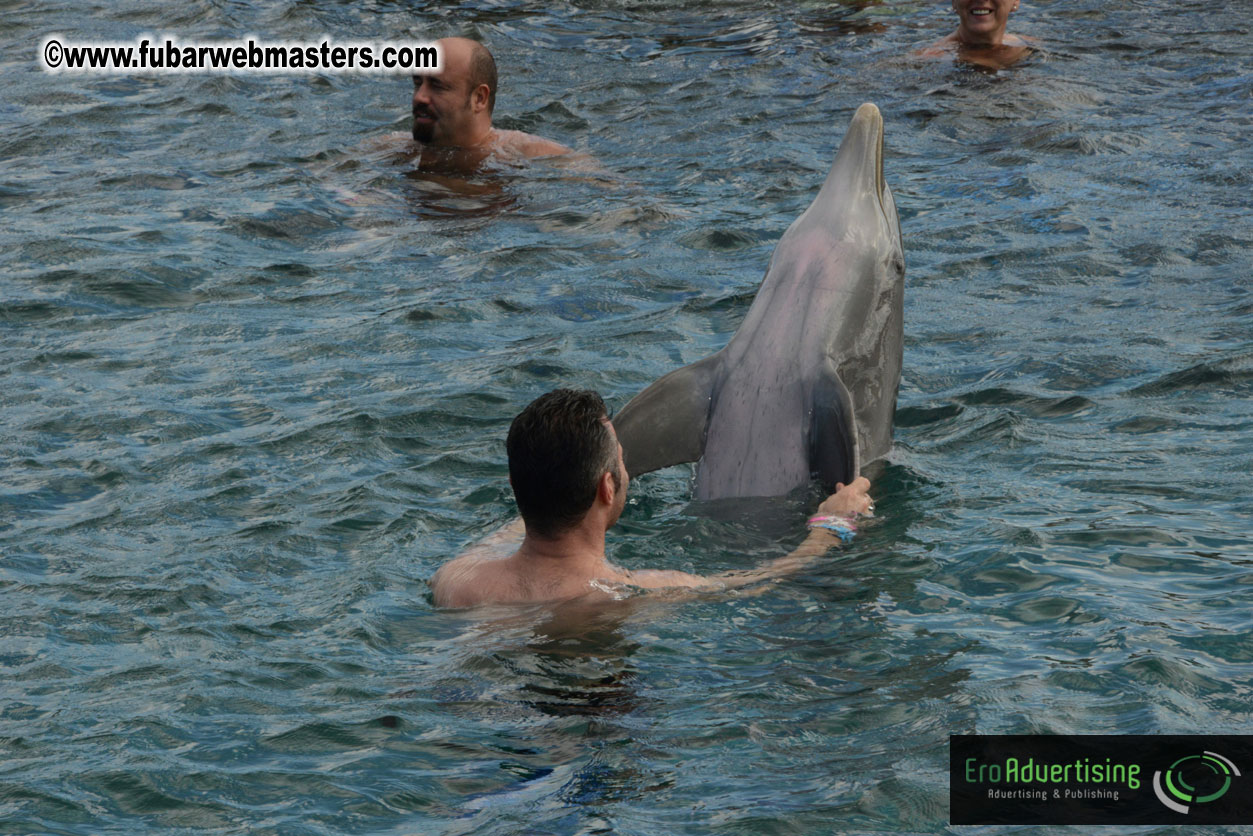WireCard Dolphin Swim