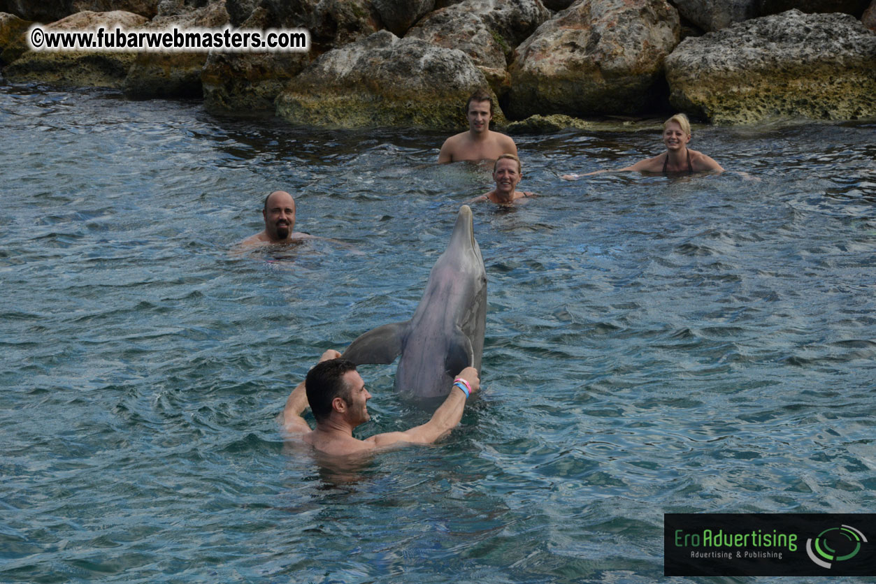 WireCard Dolphin Swim