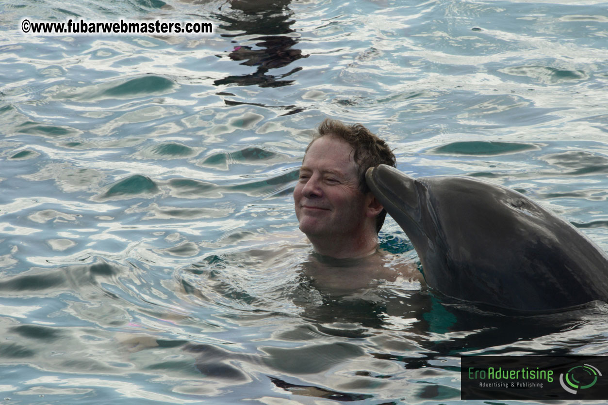 WireCard Dolphin Swim