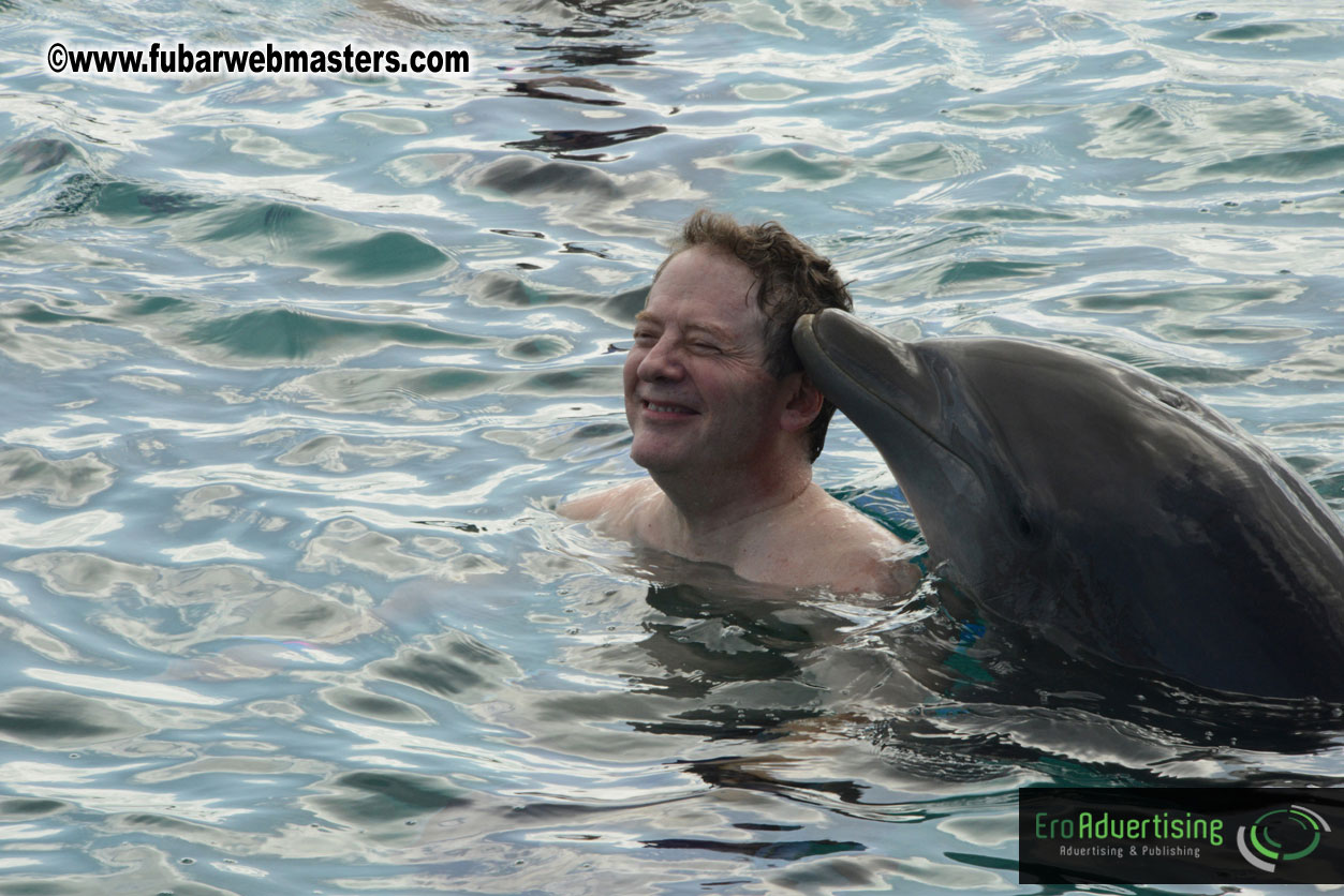 WireCard Dolphin Swim