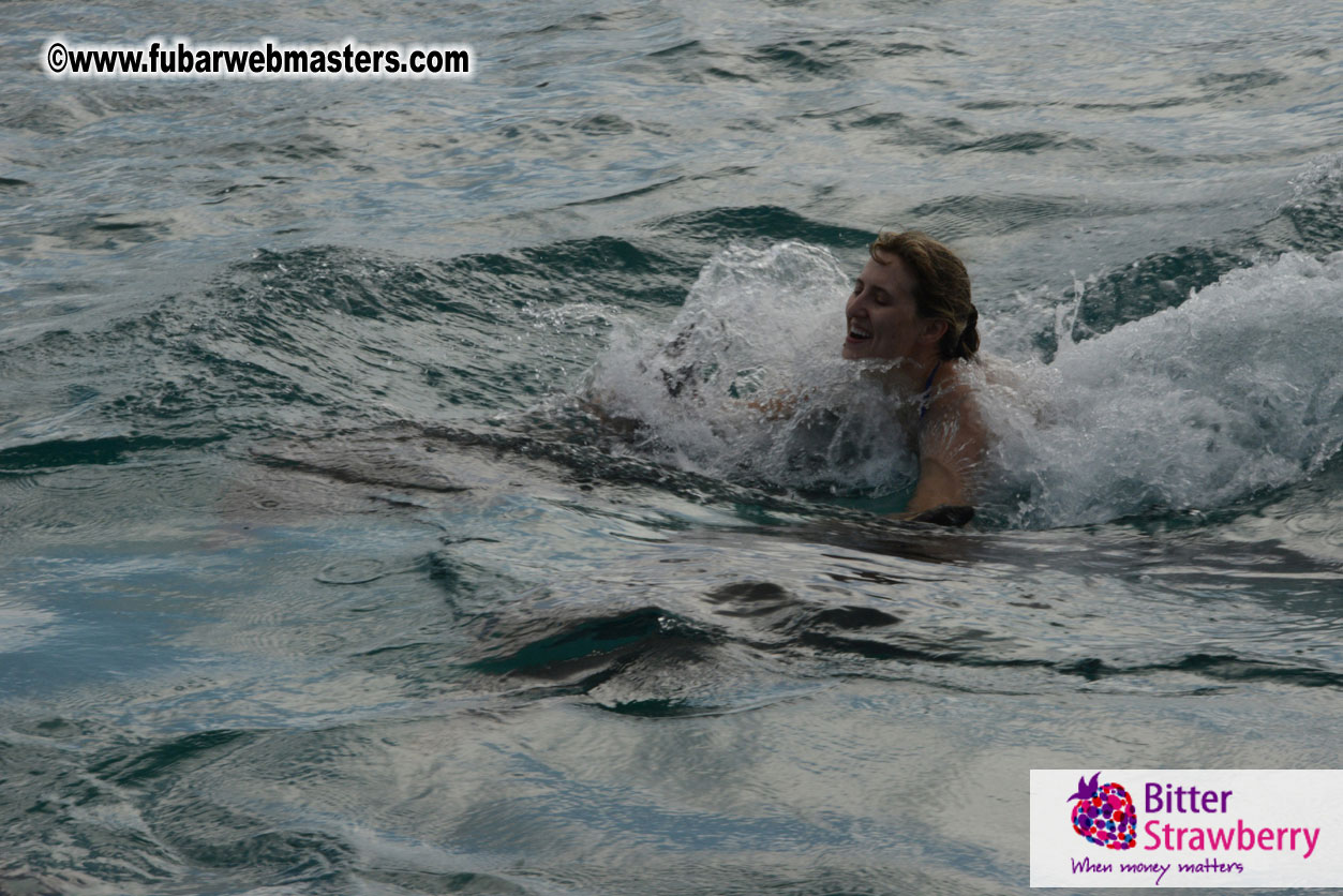 WireCard Dolphin Swim