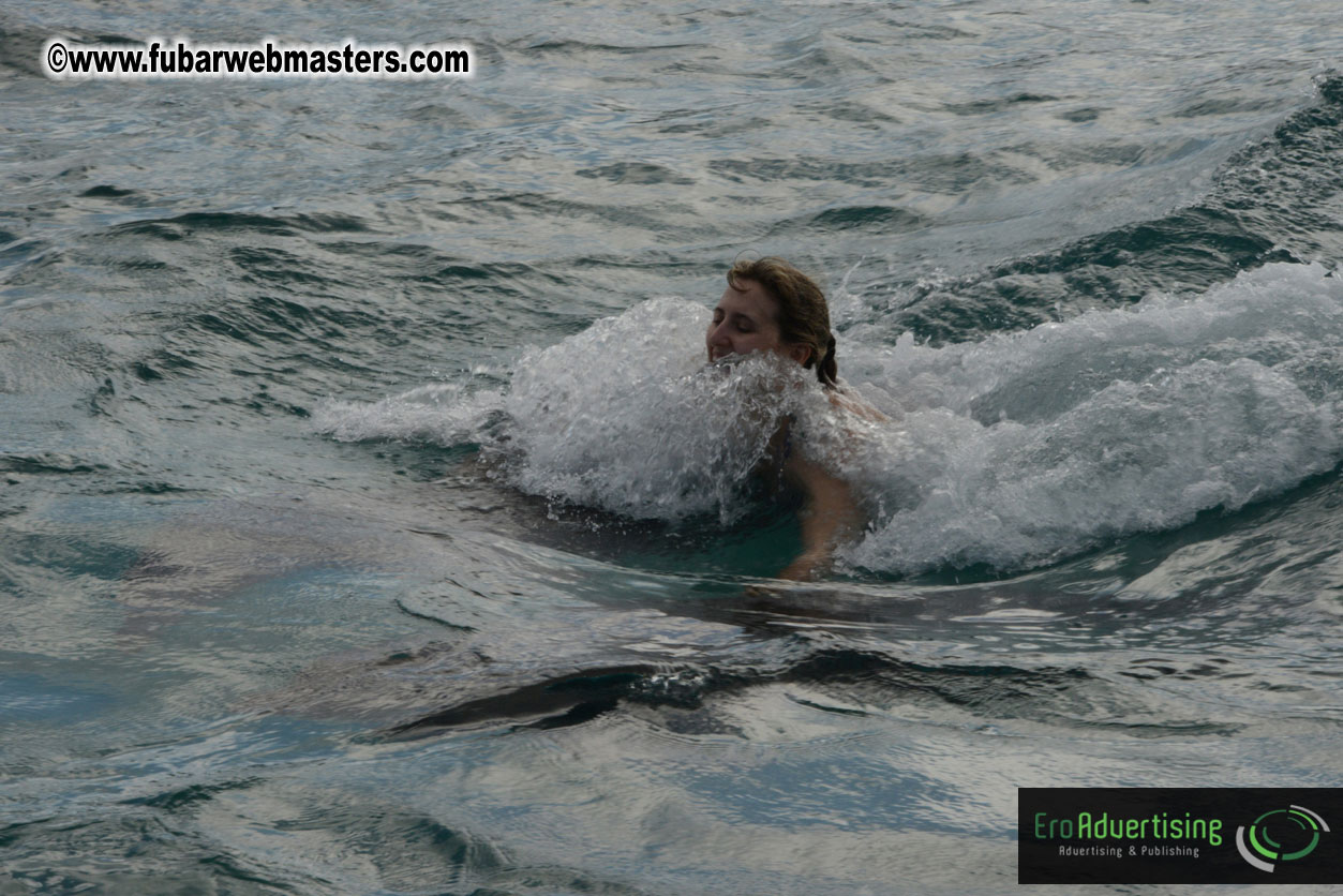 WireCard Dolphin Swim