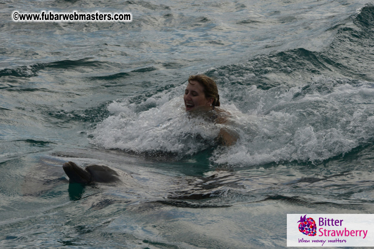 WireCard Dolphin Swim