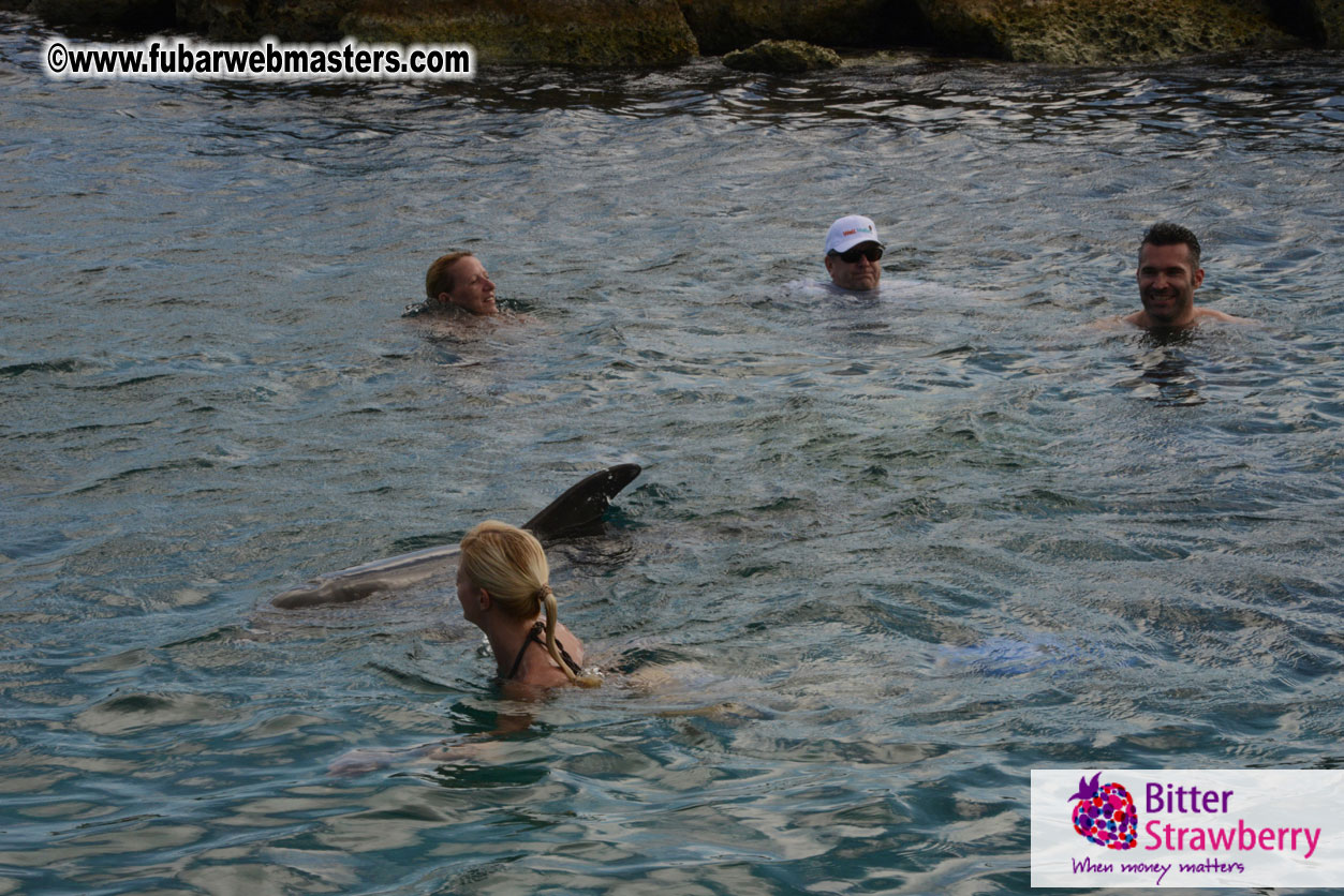 WireCard Dolphin Swim