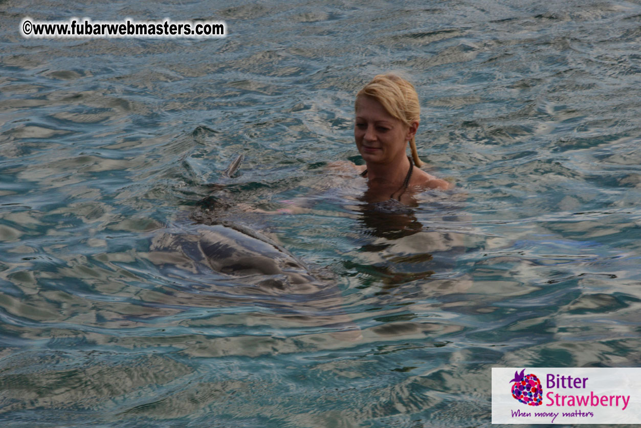 WireCard Dolphin Swim