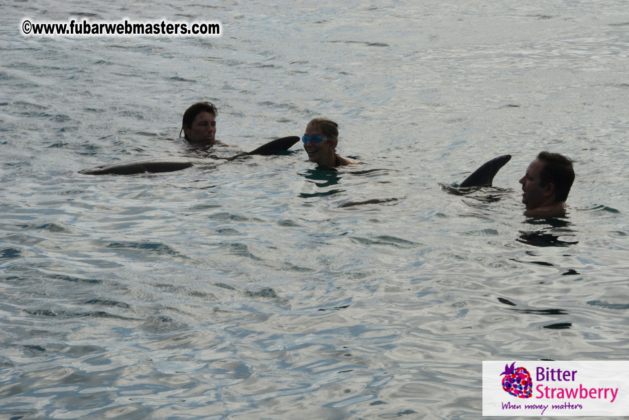 WireCard Dolphin Swim