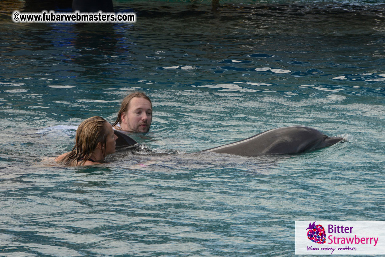 WireCard Dolphin Swim