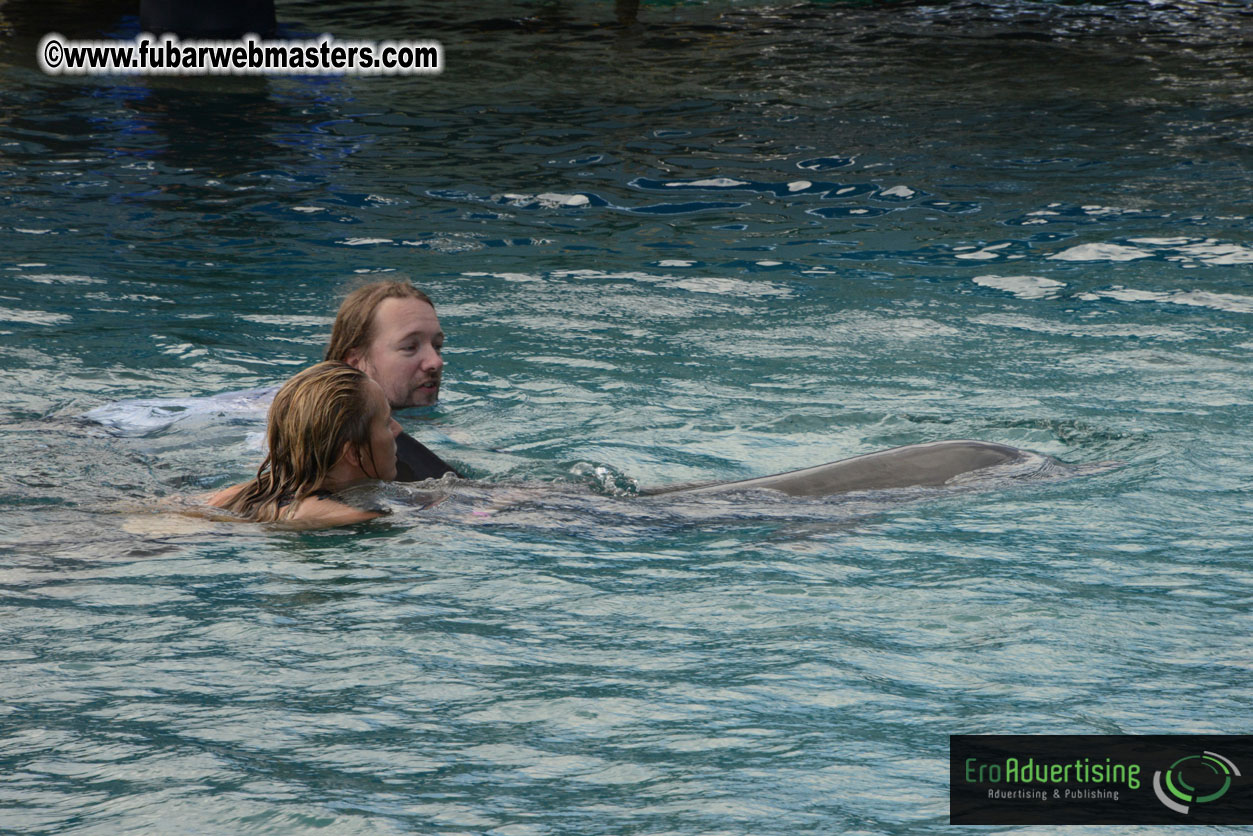 WireCard Dolphin Swim