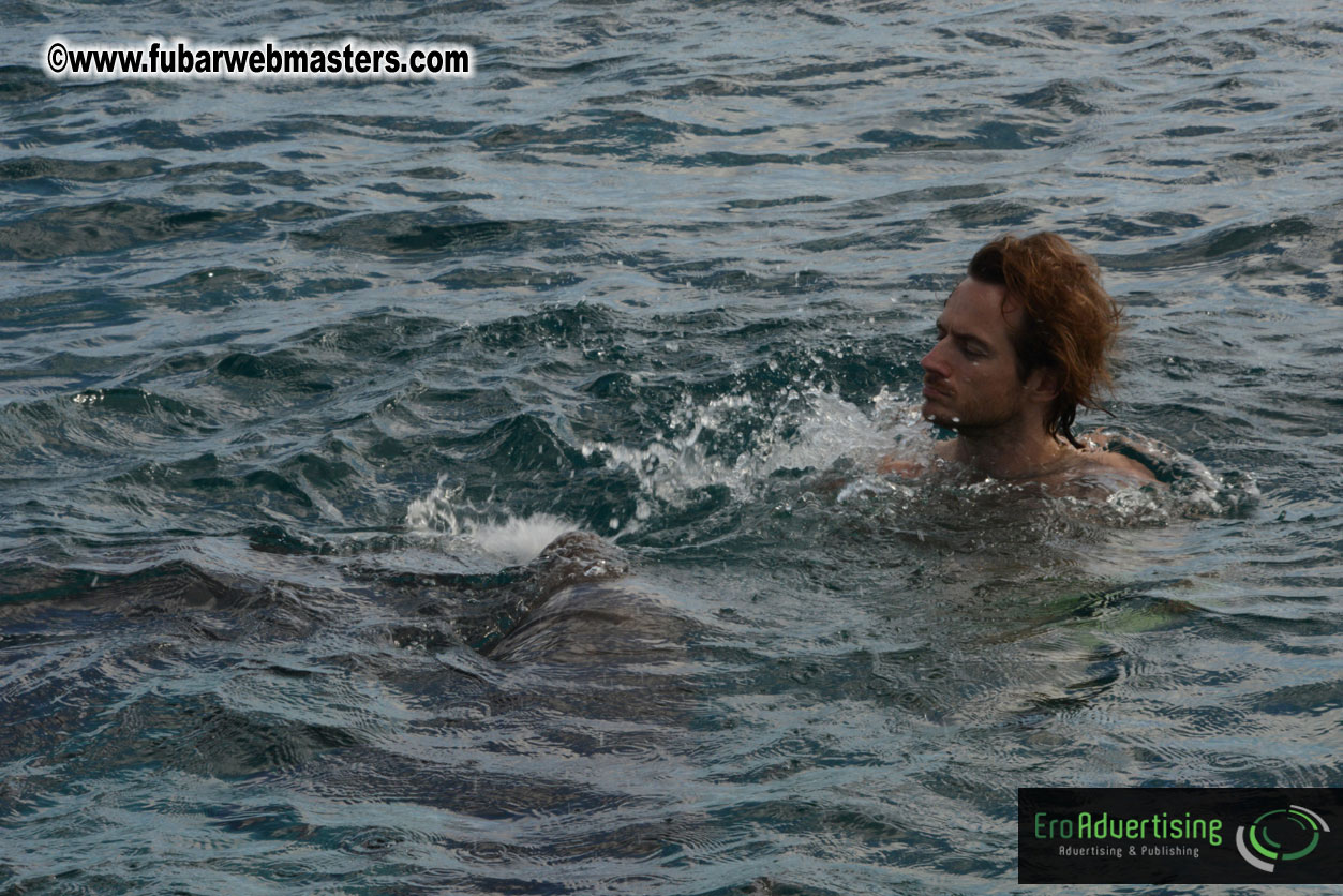 WireCard Dolphin Swim