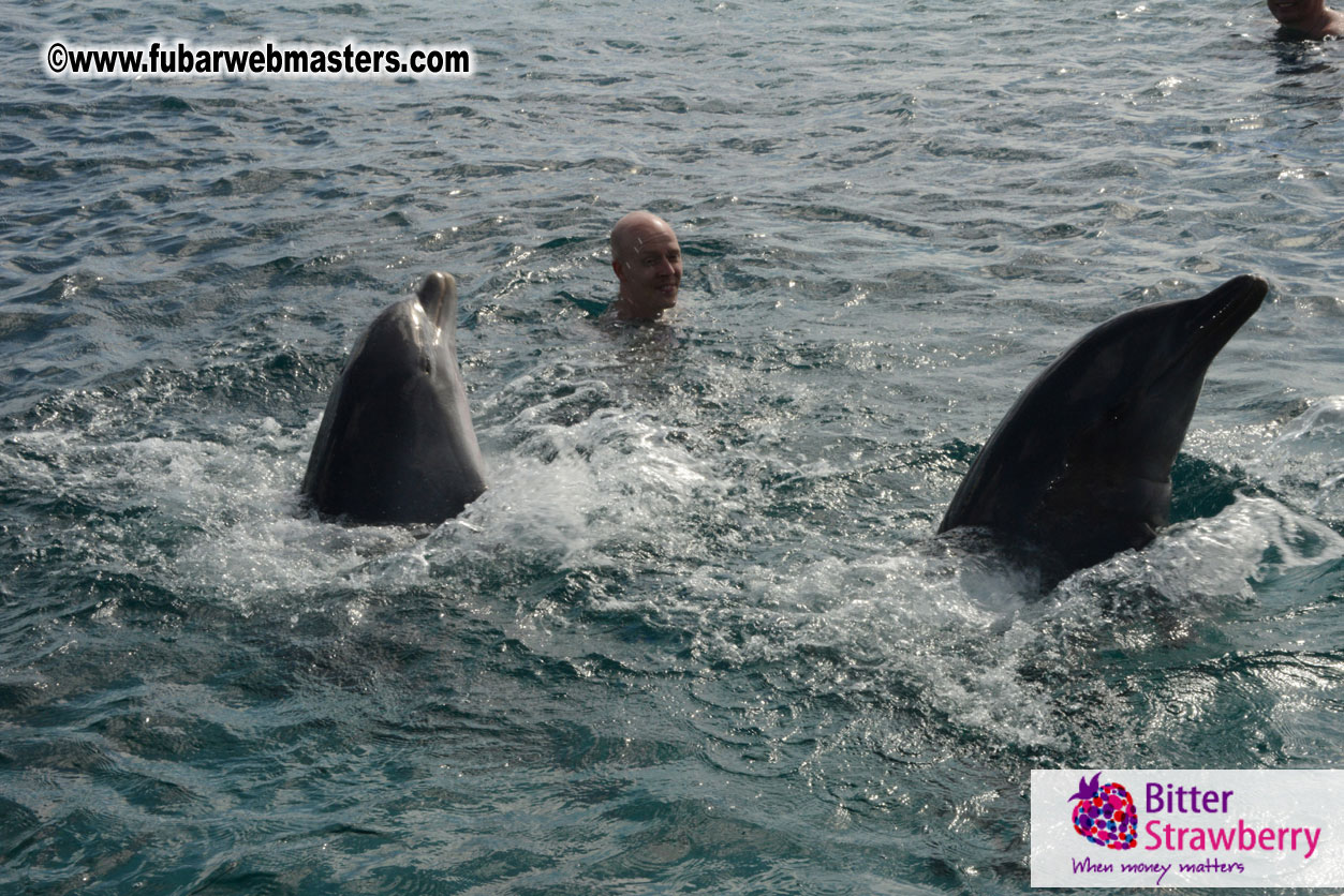 WireCard Dolphin Swim