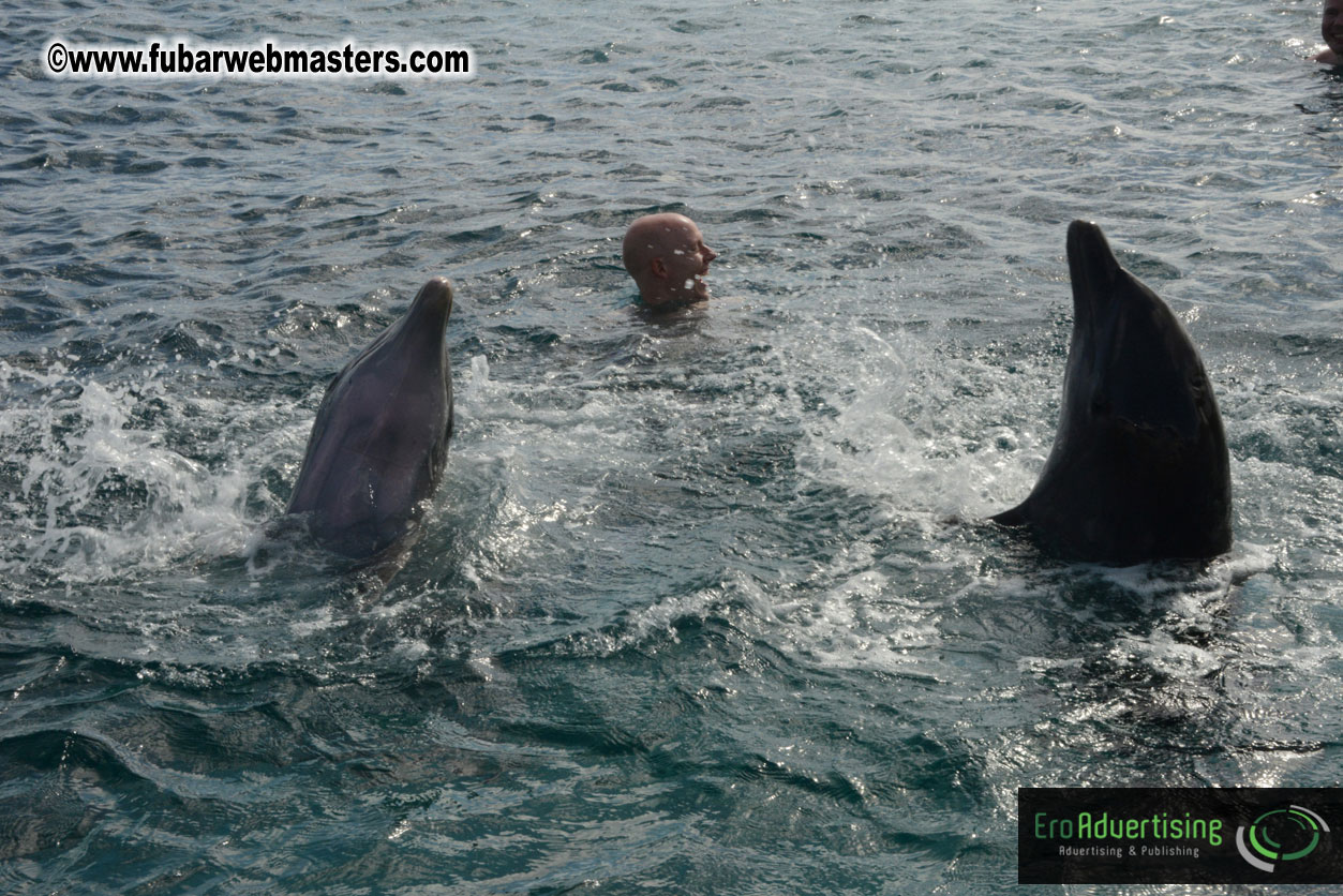 WireCard Dolphin Swim