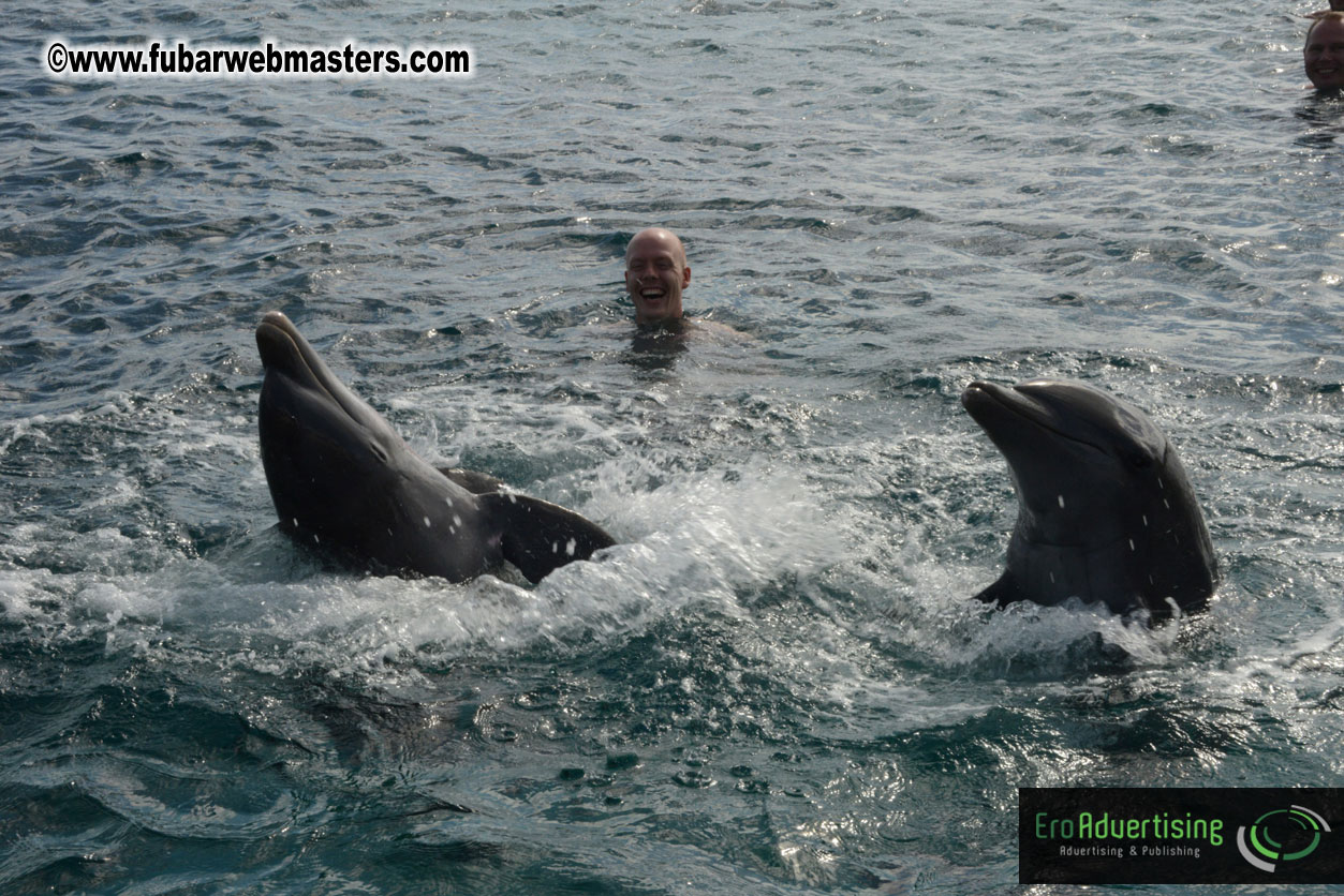 WireCard Dolphin Swim